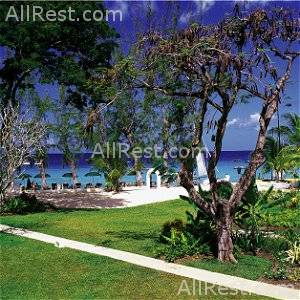 Coral Reef Club 23
